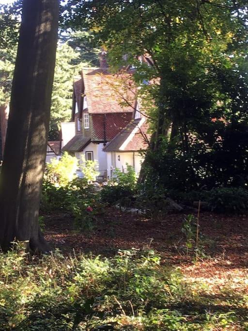 טרינג Highfield Lodge מראה חיצוני תמונה